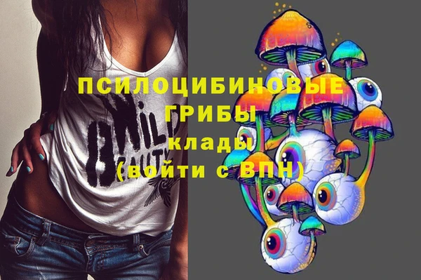 ГАЛЛЮЦИНОГЕННЫЕ ГРИБЫ Абаза