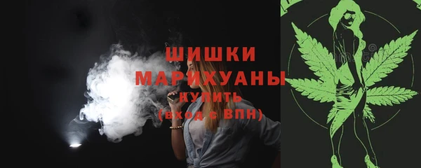 ГАЛЛЮЦИНОГЕННЫЕ ГРИБЫ Абаза