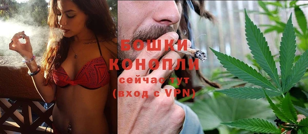 ГАЛЛЮЦИНОГЕННЫЕ ГРИБЫ Абаза