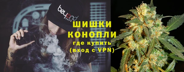 ГАЛЛЮЦИНОГЕННЫЕ ГРИБЫ Абаза