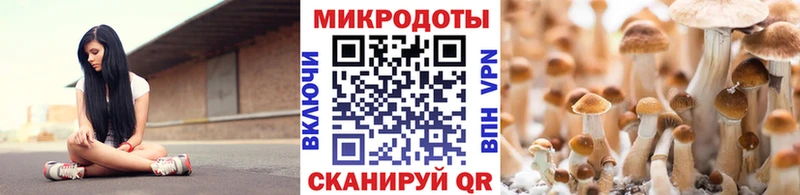Галлюциногенные грибы MAGIC MUSHROOMS  Алдан 